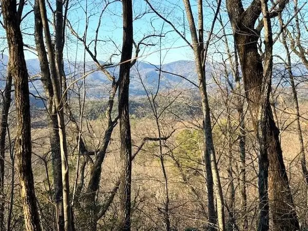 7.0 Laurel Drive, Marble, NC 28905