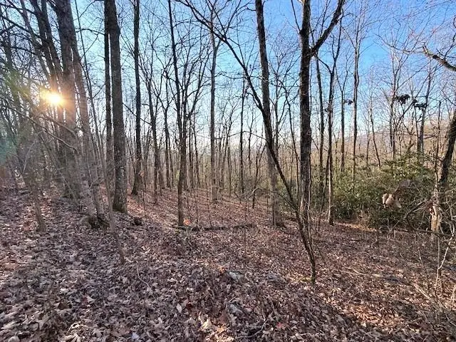 7.0 Laurel Drive, Marble, NC 28905 - Image #2