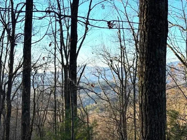 7.0 Laurel Drive, Marble, NC 28905 - Image #3