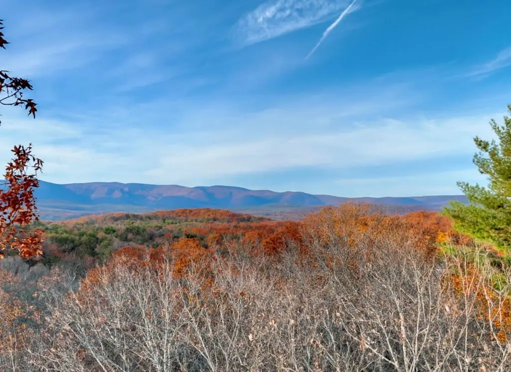 Lot 11 Creek Camp Road, Ellijay, GA 30536 - Image #1