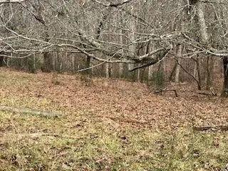 0 Julius Bridge Road, Ball Ground, GA 30107 - Image #3