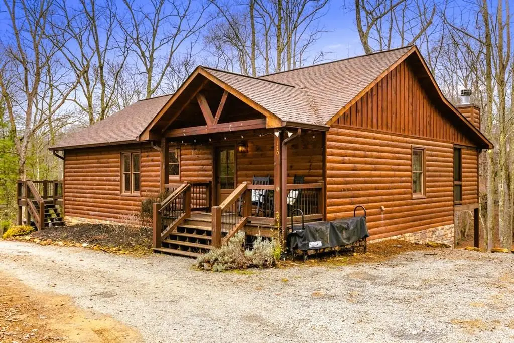 170 Ross Drive, Mineral Bluff, GA 30559 - #1