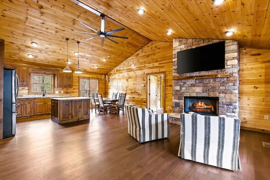 170 Ross Drive, Mineral Bluff, GA 30559 - #3