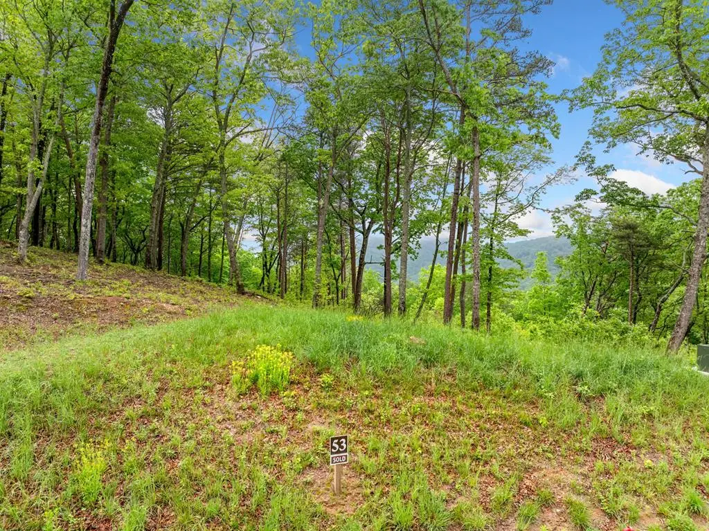 Lot 53 High Summit Drive, Talking Rock, GA 30175 - #1