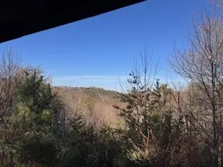 174 Chestnut Ridge Road, Blue Ridge, GA 30153 - Image #3