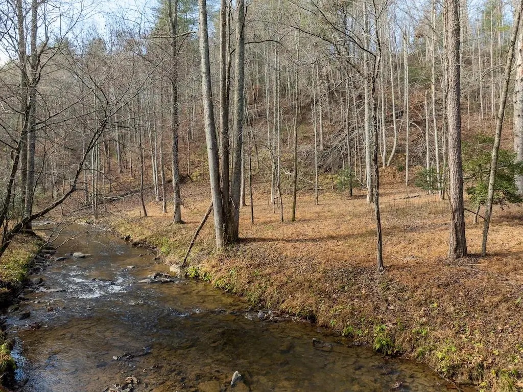 780 Banks Road, Ellijay, GA 30540 - Image #1