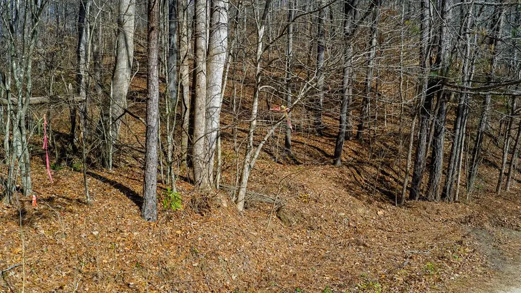 0 Rambling Road, Talking Rock, GA 30175 - Image #1