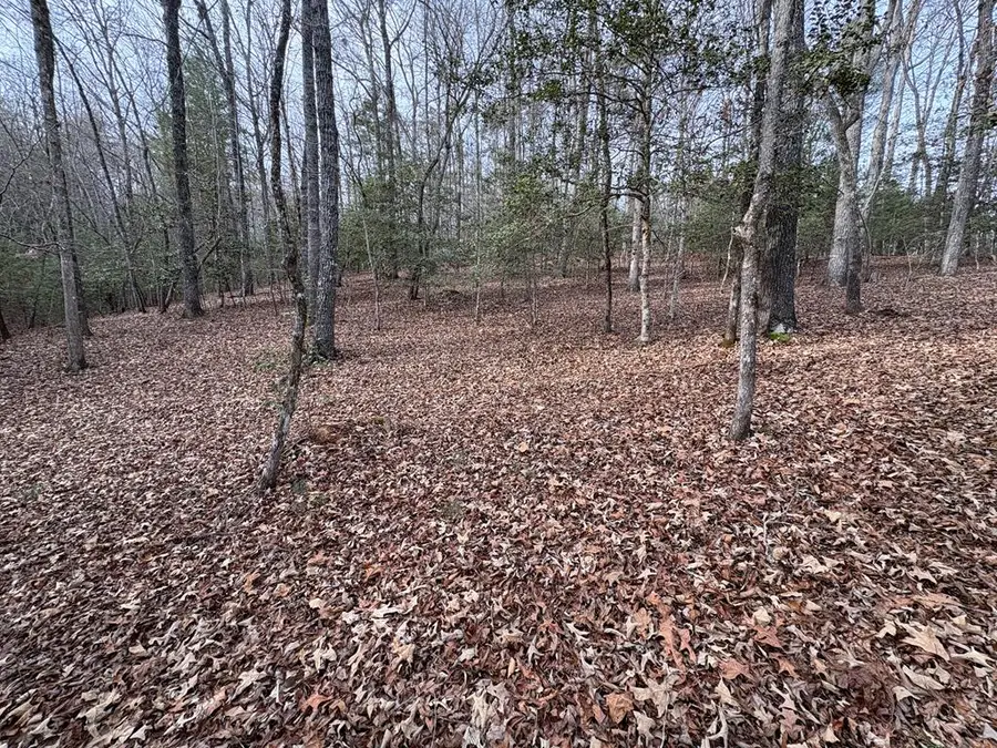 4 Lots Old Johnson Road, Murphy, NC 28906 - Image #3