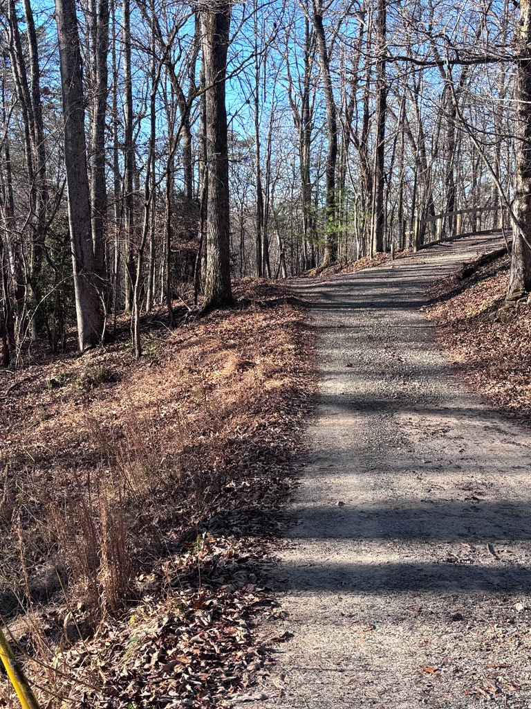 Lot 73 Bice Lane, Blue Ridge, GA 30513 - Image #3