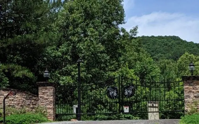 LOT 7 Ridge Top Drive, Ellijay, GA 30536 - Image #2