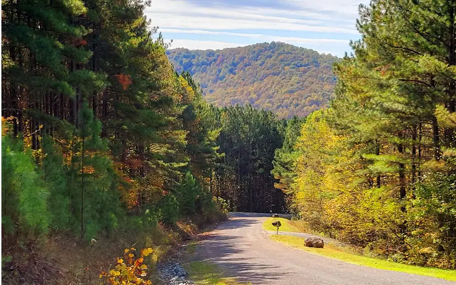 LOT 7 Ridge Top Drive, Ellijay, GA 30536 - Image #3