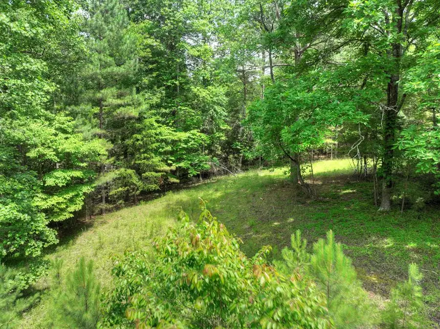 LOT 132 Fox Ridge, Blairsville, GA 30512 - Image #2
