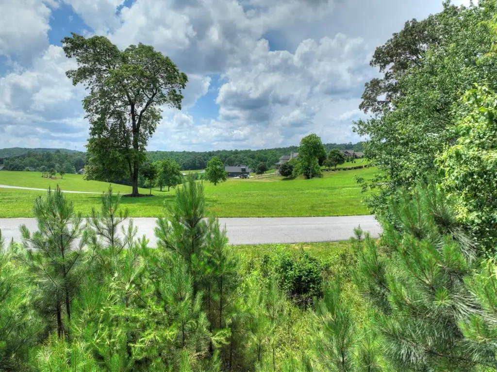 LOT 141 Fox Ridge, Blairsville, GA 30512 - Image #1