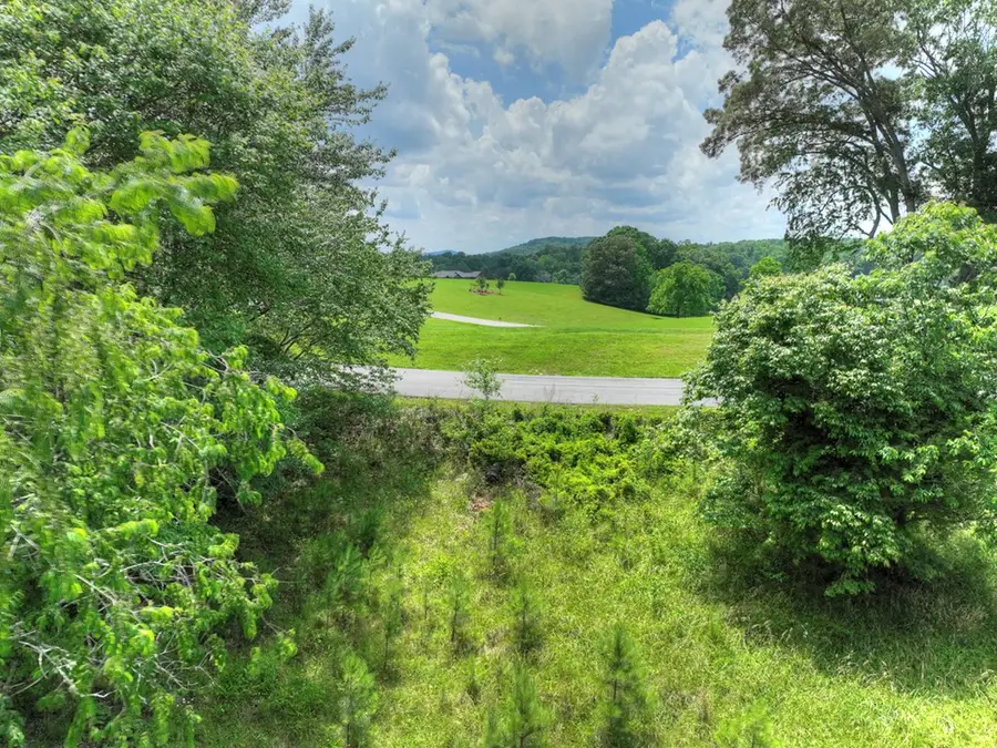 LOT 140 Fox Ridge, Blairsville, GA 30512 - Image #3