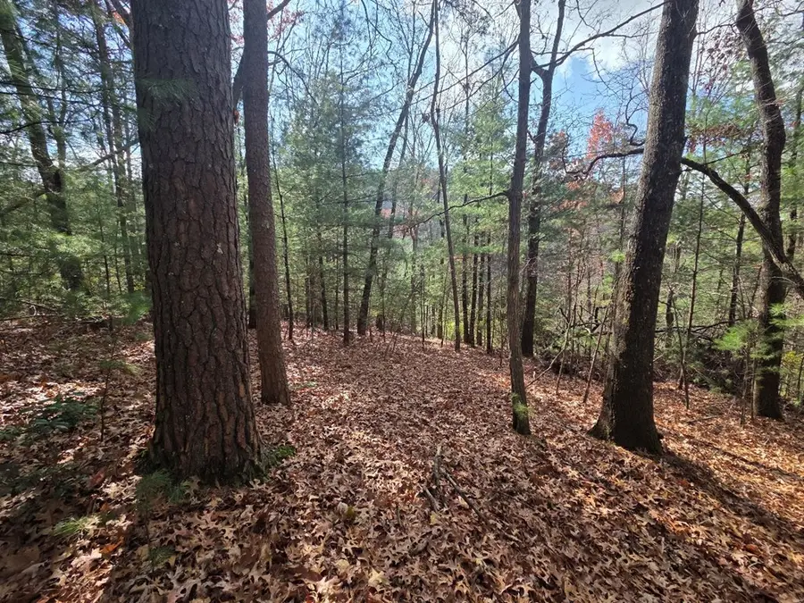 Lot 10 Wildcat Creek, Suches, GA 30572 - Image #2