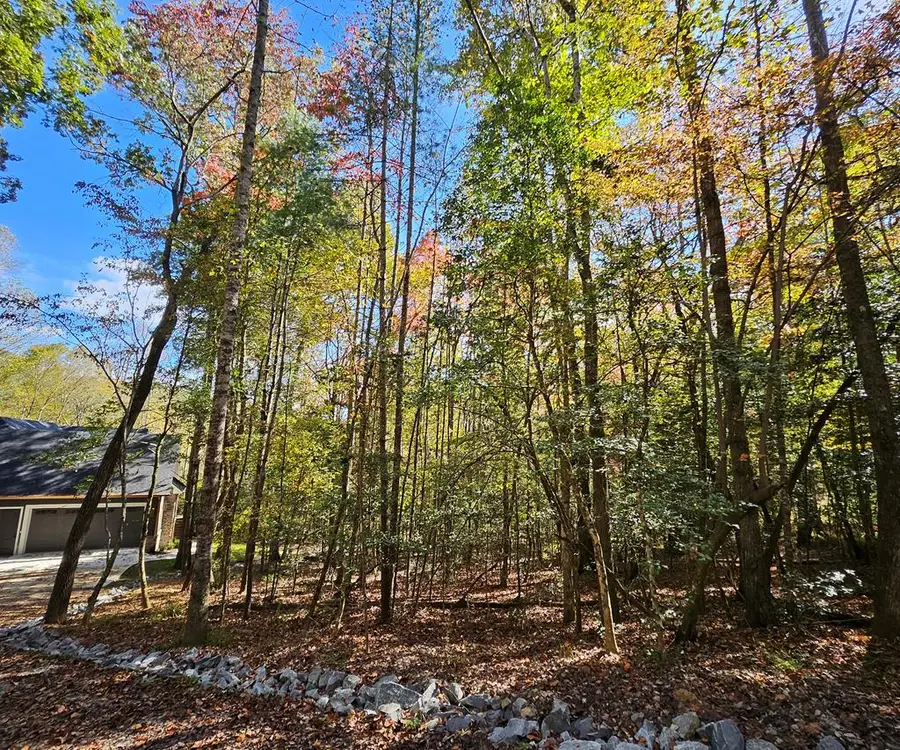 167 Happy Valley Lane, Morganton, GA 30560 - Image #3