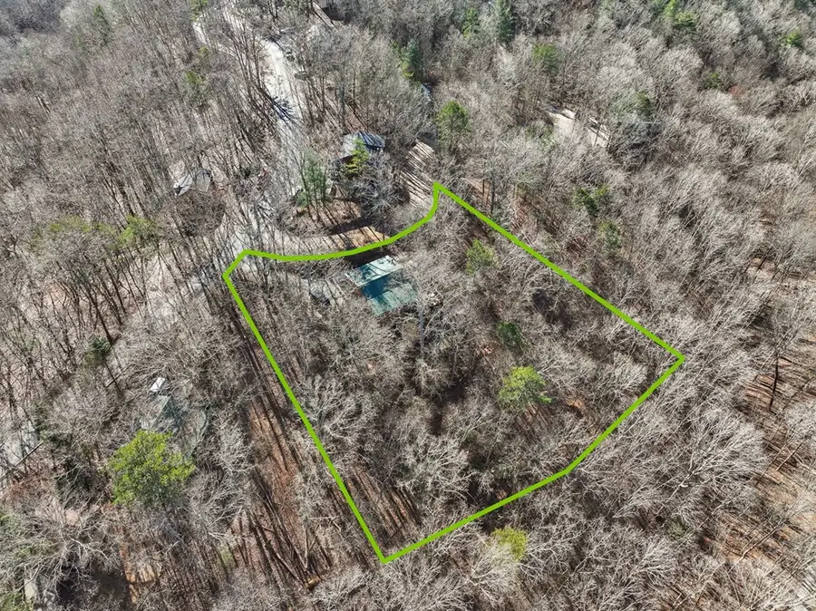 421 Cherokee Court, Ellijay, GA 30540 - Image #3