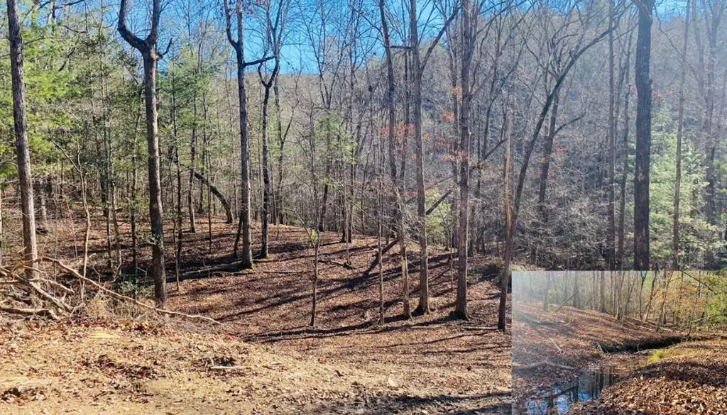 Lot 205 Windy Mountain Peak Lane, Murphy, NC 28906 - Image #1