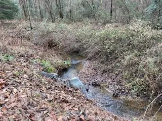 Lot 52 Llama Lane #52, Ellijay, GA 30540 - Image #2