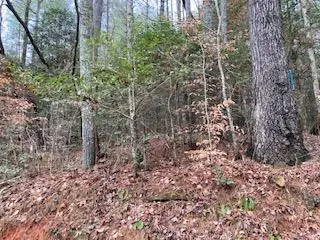 53 Llama Lane #53, Ellijay, GA 30540 - Image #2