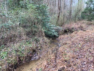 53 Llama Lane #53, Ellijay, GA 30540 - Image #3