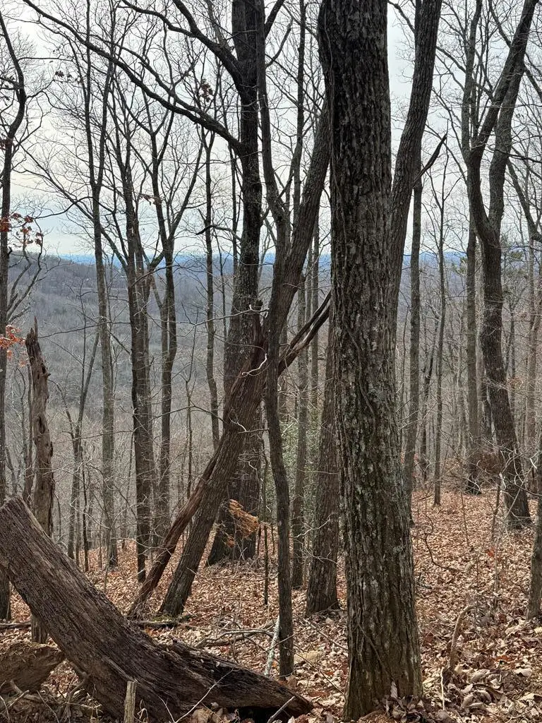 Lot 109A Folkstone Road, Nelson Tate Marble Hill, GA 30143 - Image #2