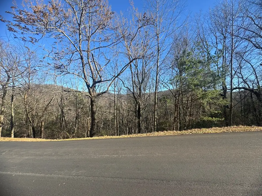Lot 228 Andes Ridge, Ellijay, GA 30540 - Image #3