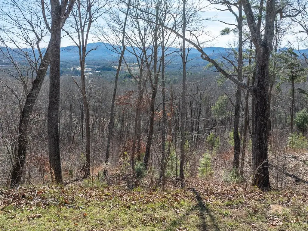 Lot 132 Highland Park, Blairsville, GA 30512 - Image #1