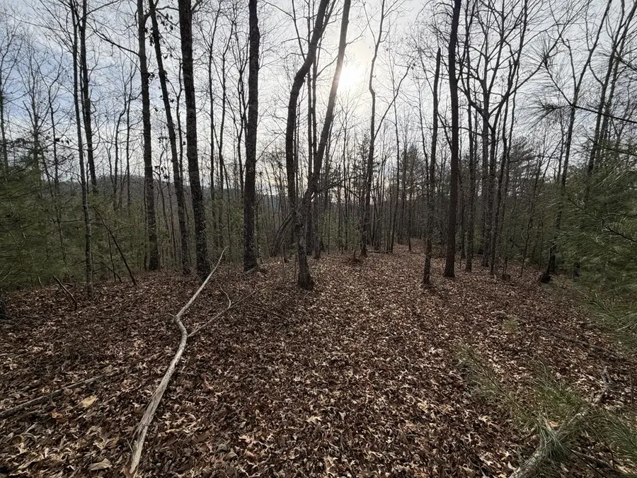 56.6 Ac Cutcane Road, Mineral Bluff, GA 30559 - Image #3
