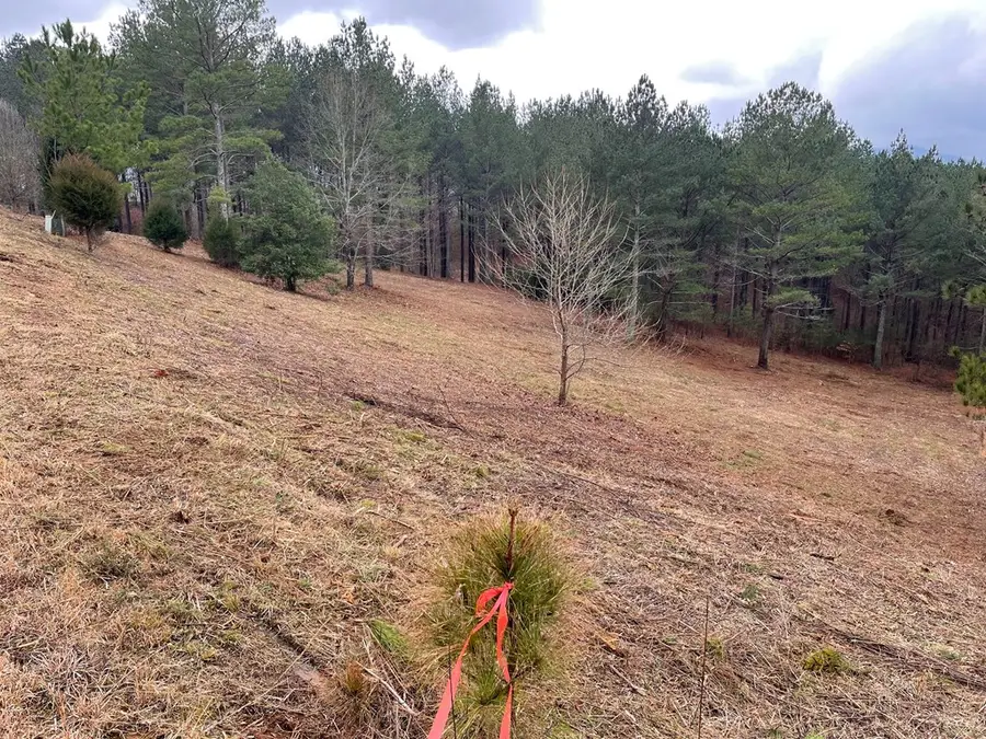 Lot 39 Pinehurst, Blairsville, GA 30512 - #2