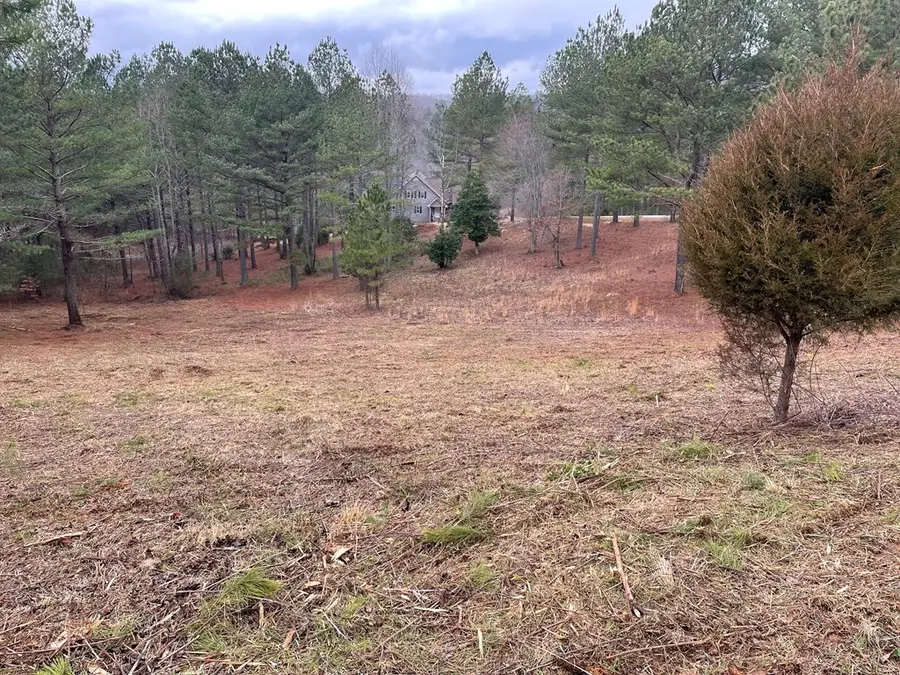 Lot 39 Pinehurst, Blairsville, GA 30512 - #3