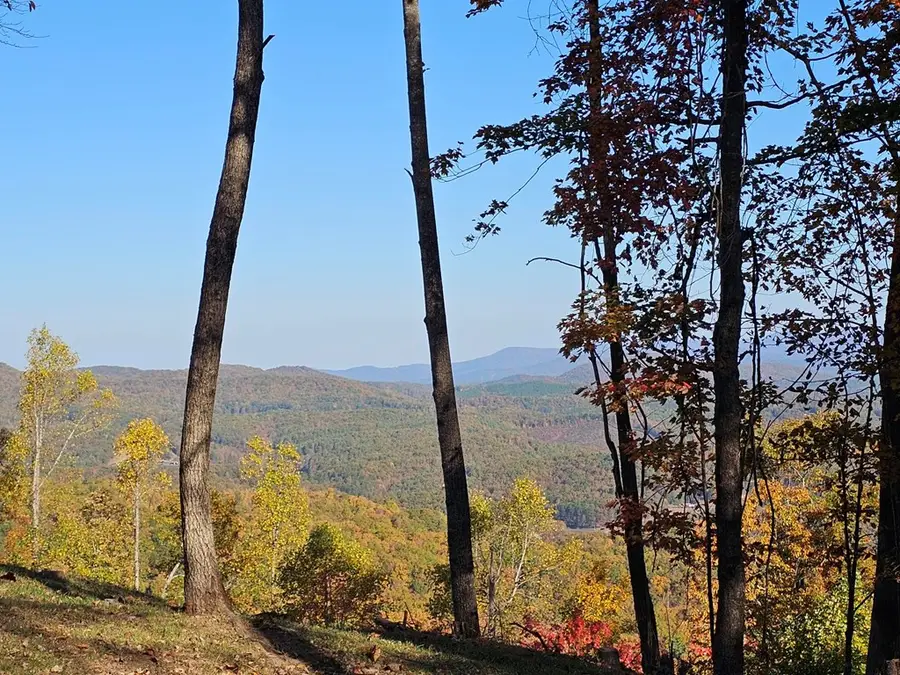 38 Trophy Buck Point, Murphy, NC 28906 - #3