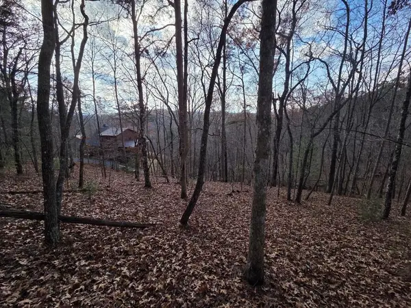 7 Fish Camp Way, Mineral Bluff, GA 30559