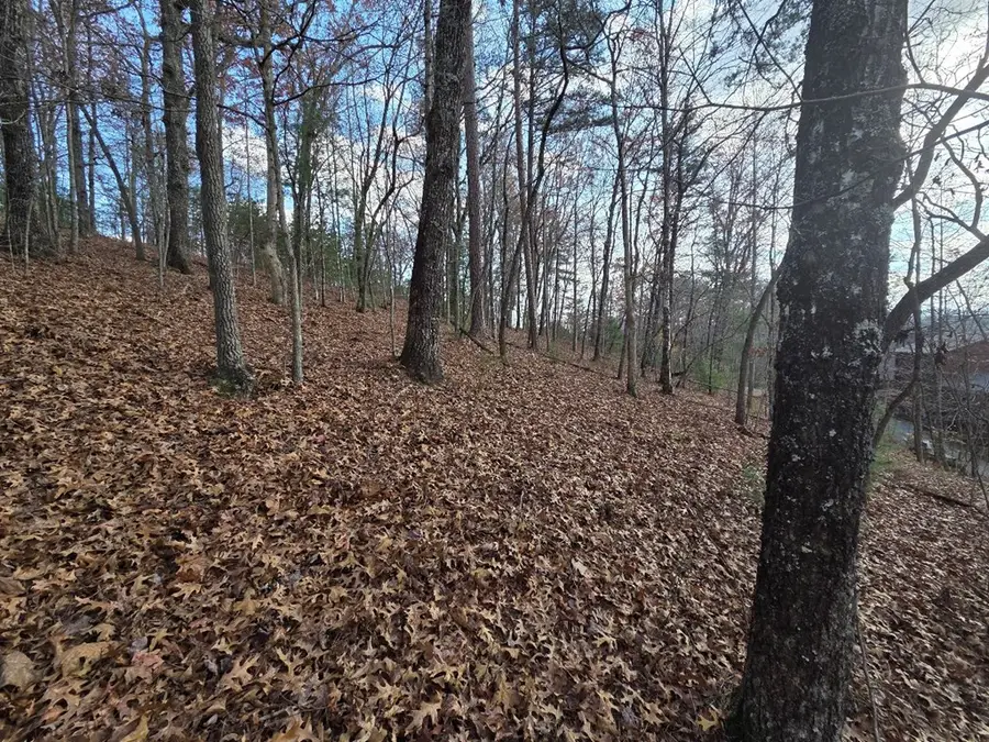 7 Fish Camp Way, Mineral Bluff, GA 30559 - Image #3