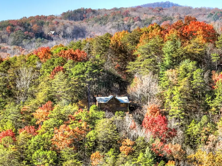 146 Rosiey Lane, Blue Ridge, GA 30513 - Image #2