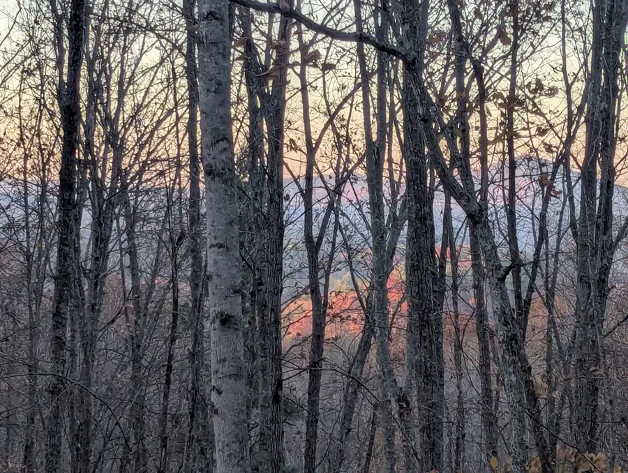 84 Knights Way, Blairsville, GA 30512 - #3