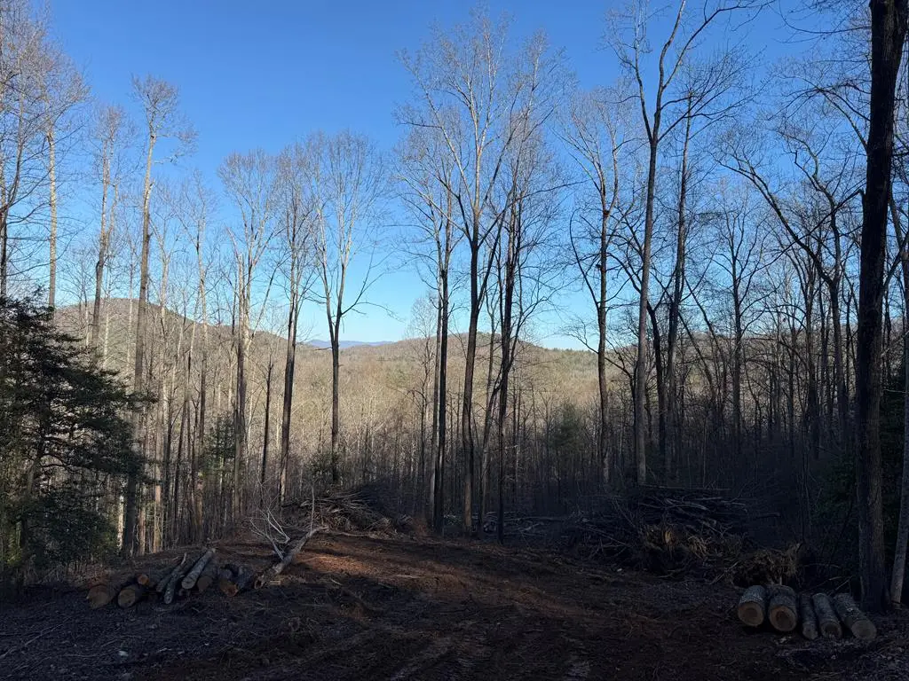 na Wildwood Trail, Blairsville, GA 30512 - Image #1