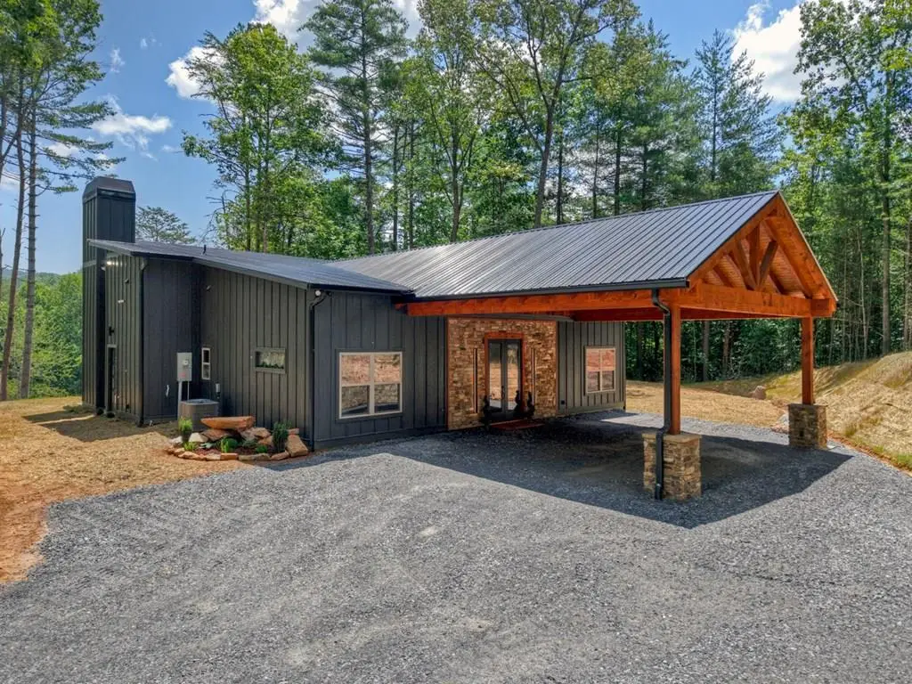 2461 Salem, Mineral Bluff, GA 30559 - #1