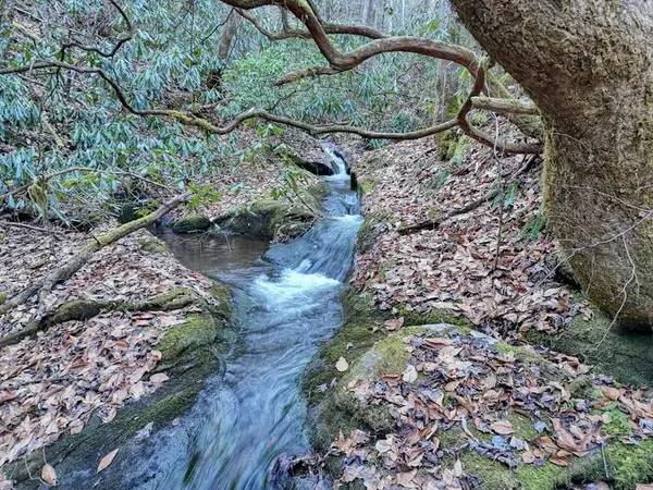 7.69ac Webb Creek Road, Andrews, NC 28901