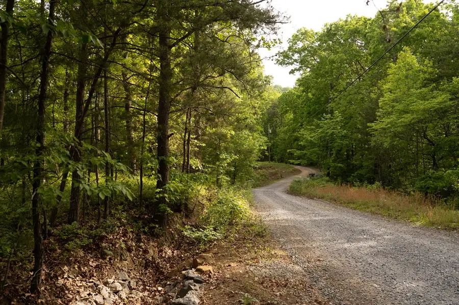 Tract 2 Century Lane, Blue Ridge, GA 30513 - #3