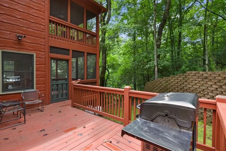 166 Riparian Way, Ellijay, GA 30540 - #3