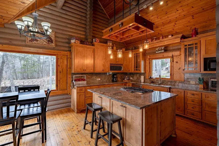 201 Mountainside Parkway, Ellijay, GA 30536 - #3