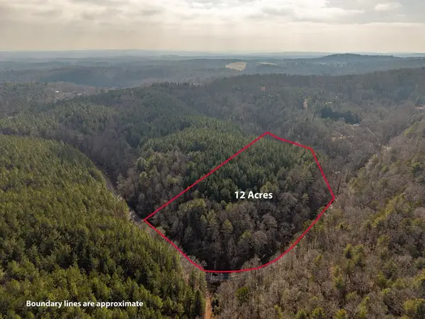 12 ACRE Pleasant Gap Road, Ellijay, GA 30540
