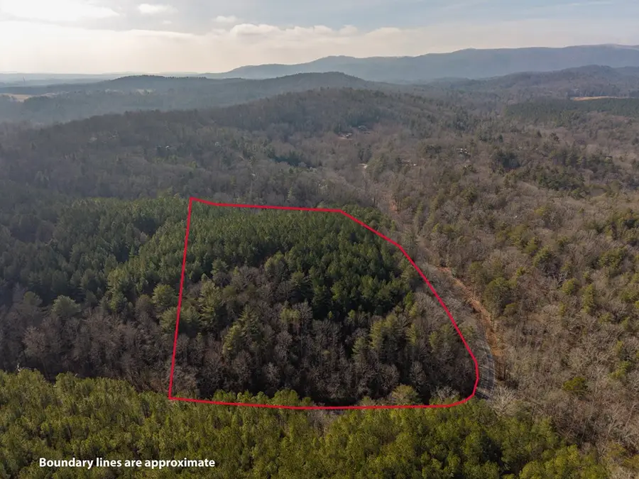 12 ACRE Pleasant Gap Road, Ellijay, GA 30540 - #2