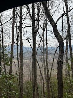 0 Winchester Creek, Young Harris, GA 30582