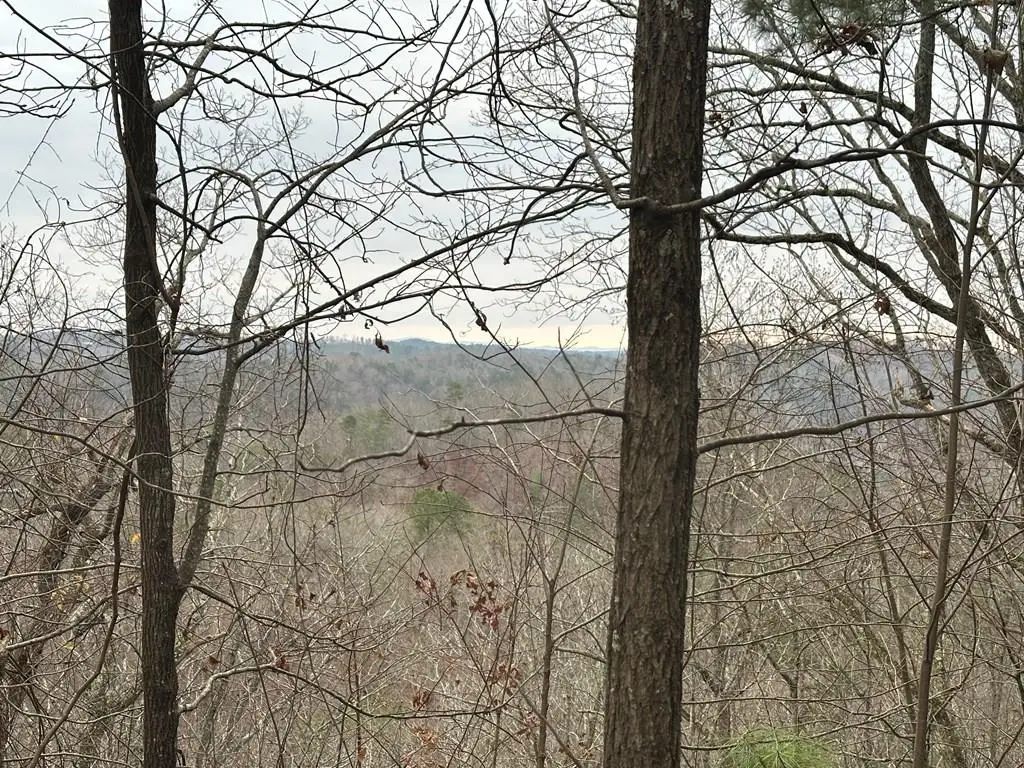 306 Oberlin Court, Ranger, GA 30734 - #1