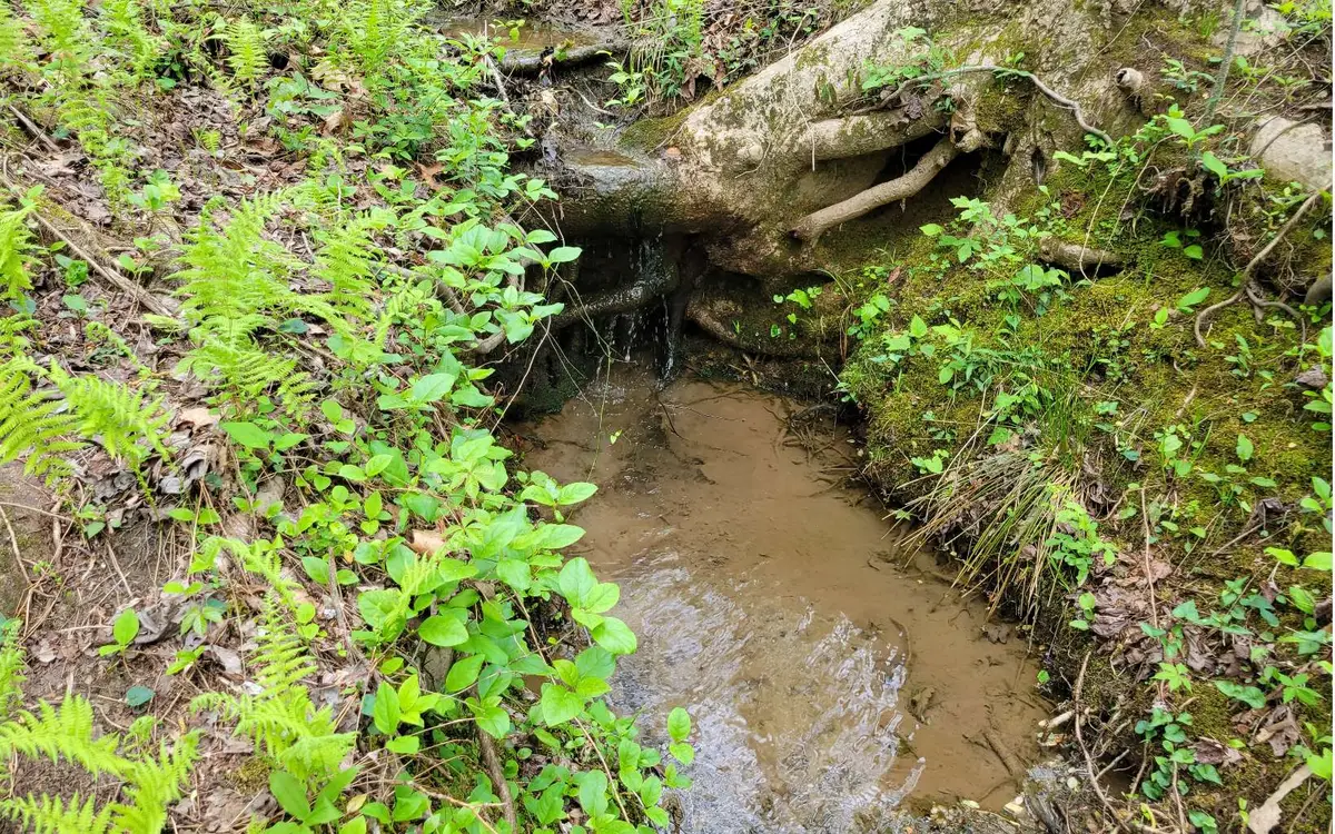 LOT27 Oak Ridge Way, Ellijay, GA 30536 - Image #1