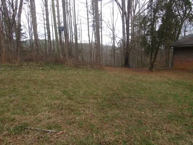 78 Holly Place Road, Marble, NC 28905 - Image #2