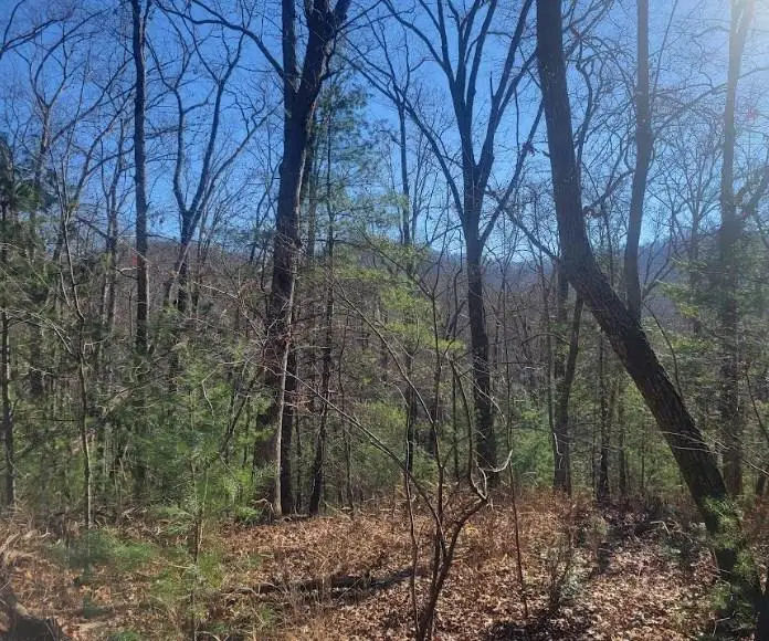 Lot 26 Countryside Lane, Hayesville, NC 28904 - Image #1