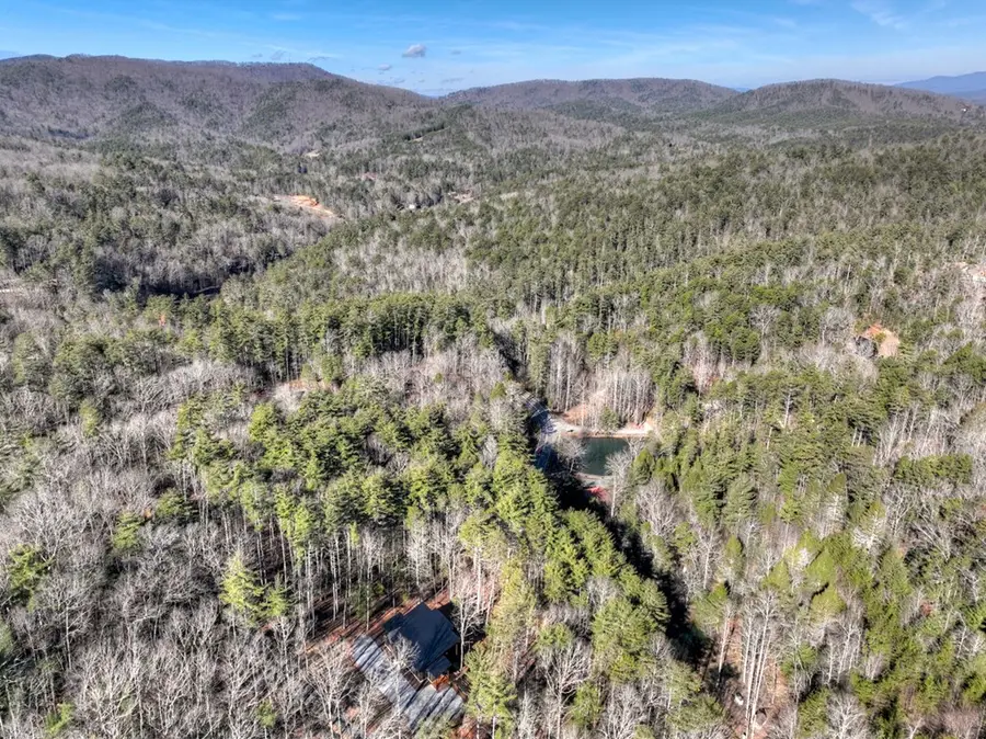 46 Rolling Rapids, Blue Ridge, GA 30513 - Image #3